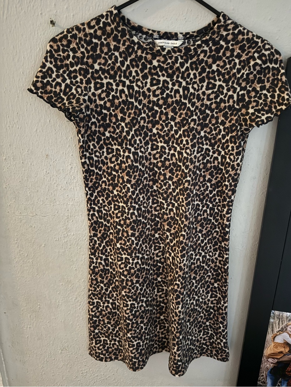 American Eagle Outfitters Leopard Print Mini Dress - Brown & Black
